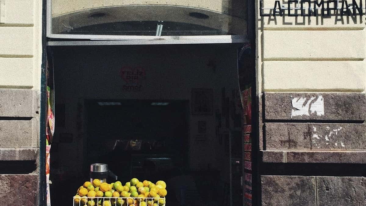 Como os influencers do Twitter em Portugal podem colaborar com marcas da Polónia