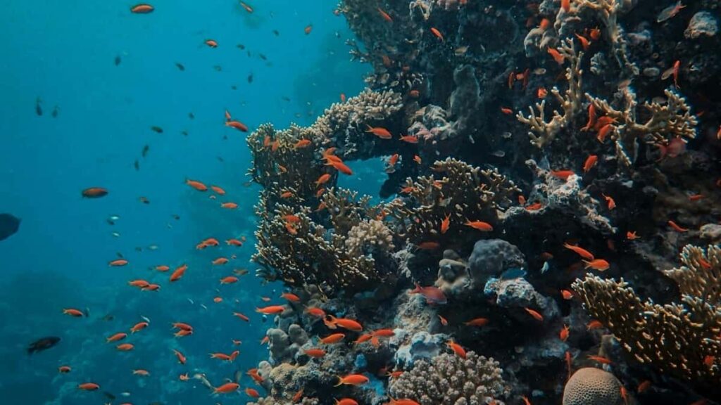 Tabela Completa de Preços Publicitários Instagram Brasil 2025