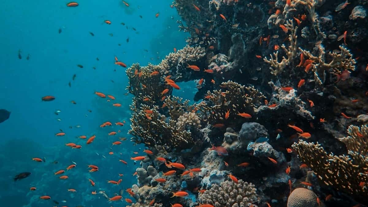 Tabela Completa de Preços Publicitários Instagram Brasil 2025