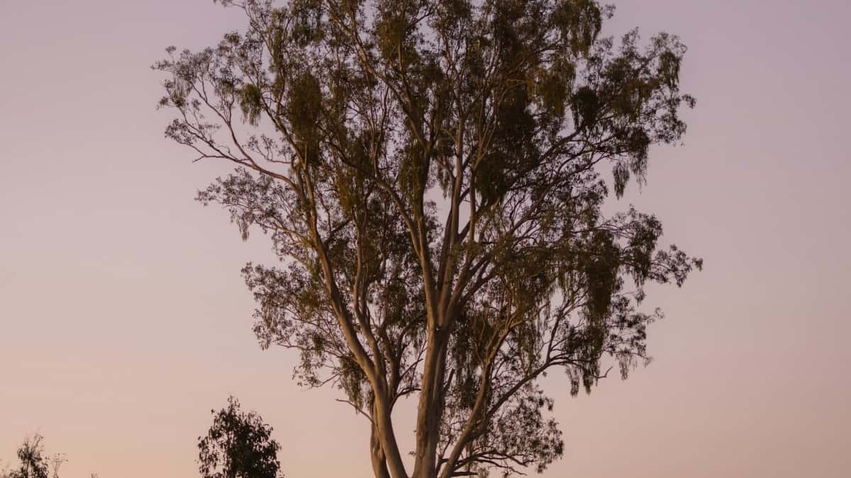 Tabela de Preços Publicitários Snapchat República Checa 2025