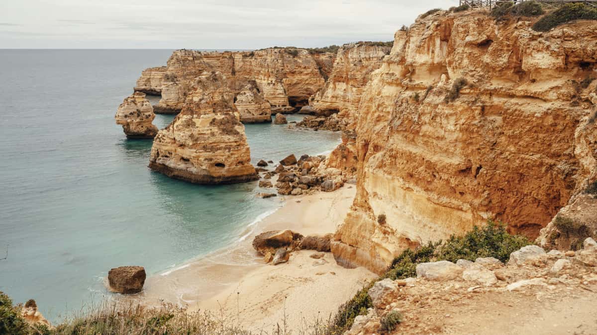 Criadores em Portugal: Como alcançar marcas do Uzbequistão no TikTok e conquistar nova audiência