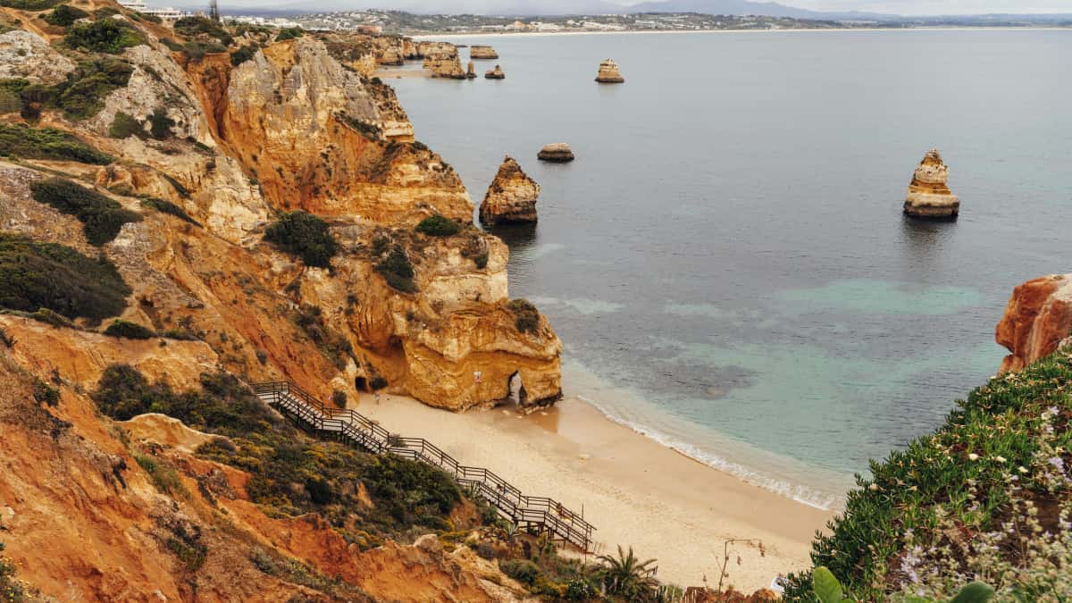 Portuguese creators: reach Australia brands via KakaoTalk