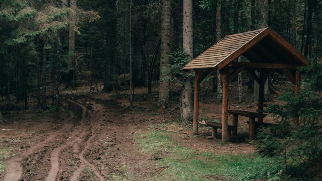 Guia pratico para marcas e destinos em Portugal sobre como identificar, avaliar e activar criadores no Apple Music para aumentar visibilidade turistica.