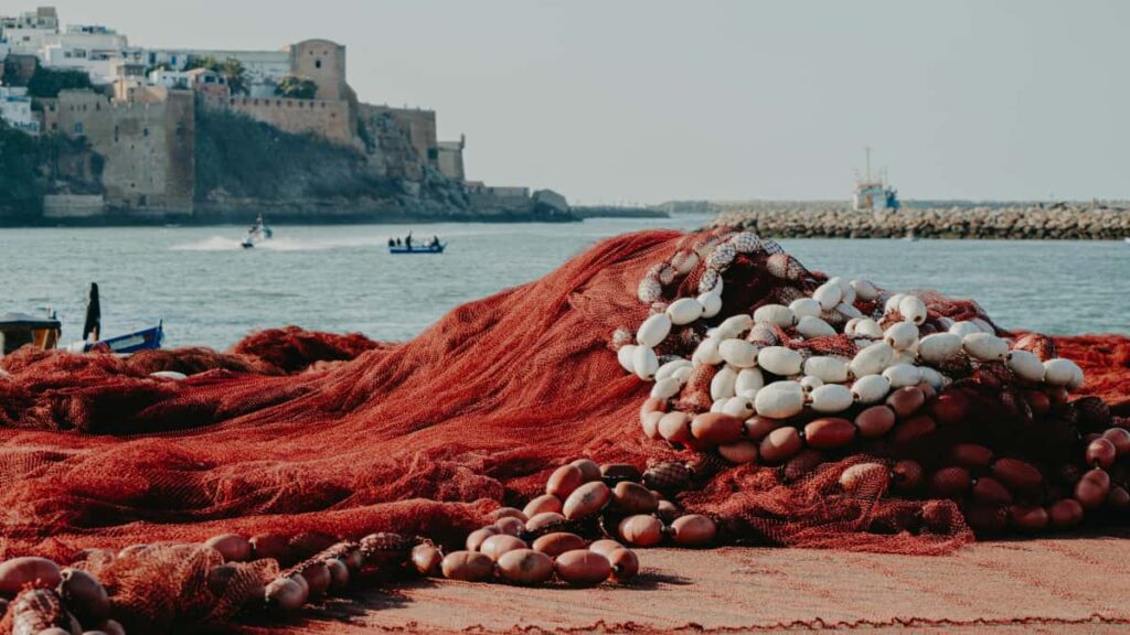 Guia pratico para anunciantes em Portugal sobre como encontrar e contratar creators tailandeses no Facebook para promover ofertas sazonais tacticas, canais e riscos.