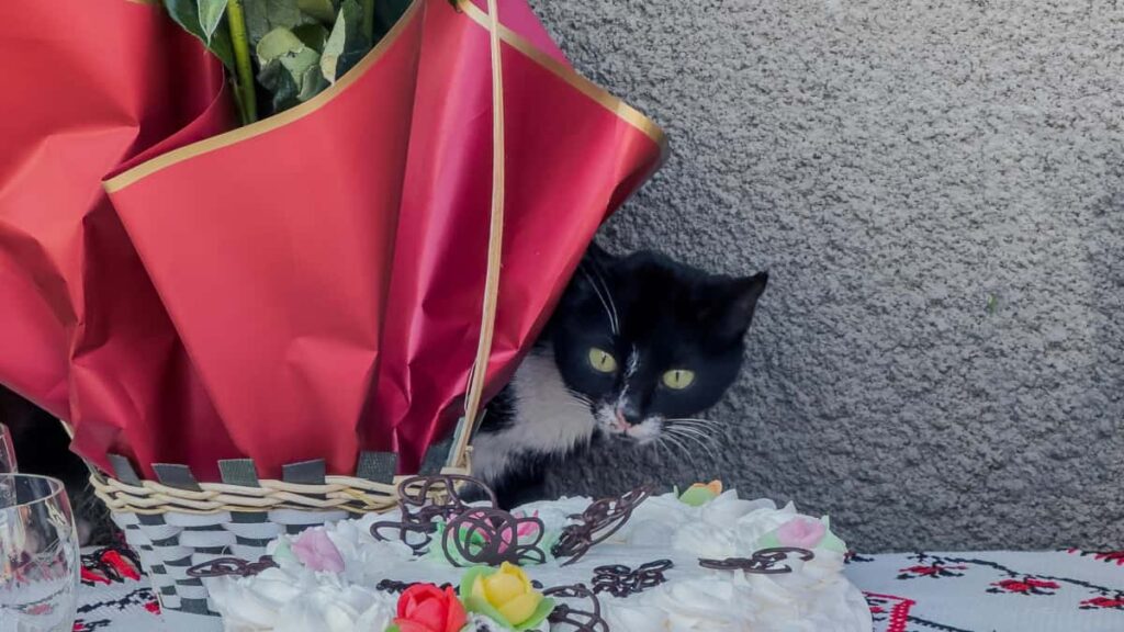 Estrategias praticas para marcas portuguesas recrutarem creators Viber na Romenia e amplificarem awareness internacional tacticas, canais, riscos e exemplos accionaveis.