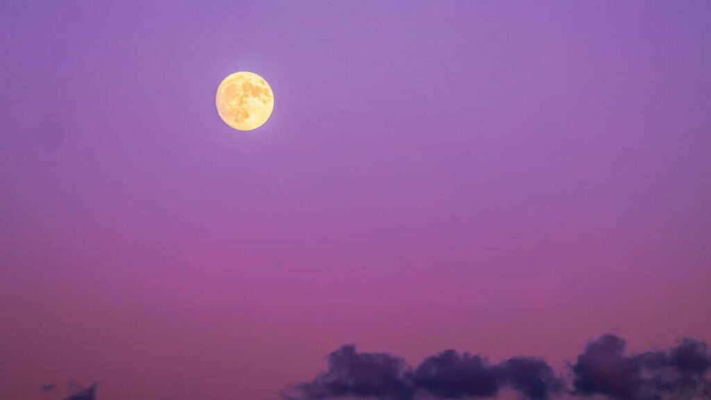 Guia pratico para criadores em Portugal que querem colaborar com marcas australianas no Chingari: abordagem, dados e tacticas accionaveis.