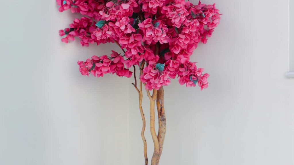 Guia pratico para criadores em Portugal que querem chegar a marcas francesas via Line, Instagram e email e tornar-se embaixadores de beleza.