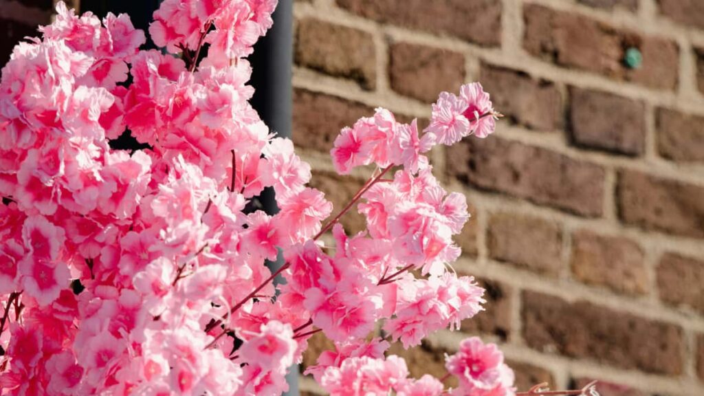 Guia pratico para criadores em Portugal: como abordar marcas da Romenia via WhatsApp para promover artistas emergentes, com taticas, exemplos reais e checklist.