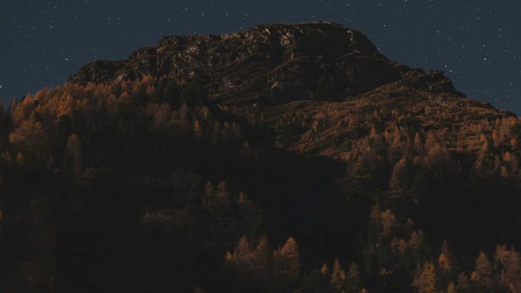 Guia pratico para criadores em Portugal chegarem a marcas sulafricanas no Josh e construirem parcerias de longo prazo, com taticas, exemplos e checklist accionavel.