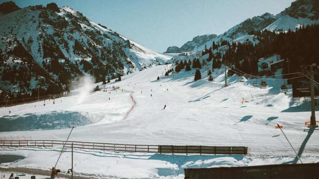 Guia pratico para criadores em Portugal sobre como contactar marcas italianas no Twitter, conseguir reviews a plataformas de aprendizagem e transformar outreach em parcerias reais.