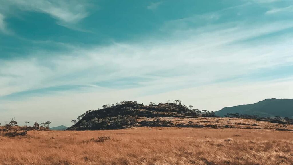 Guia pratico para criadores em Portugal sobre como abordar marcas polacas no Bilibili para colaboracoes e giveaways, com tacticas, erros a evitar e recursos uteis.