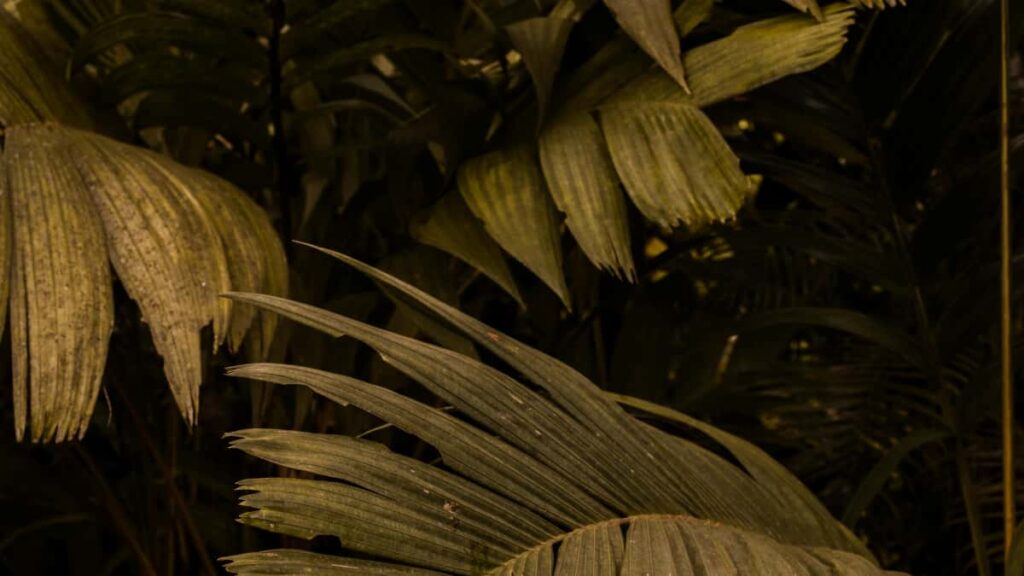 Guia pratico para criadores em Portugal chegarem a marcas da Costa Rica no Etsy e fechar colaboracoes em guias de produtividade.