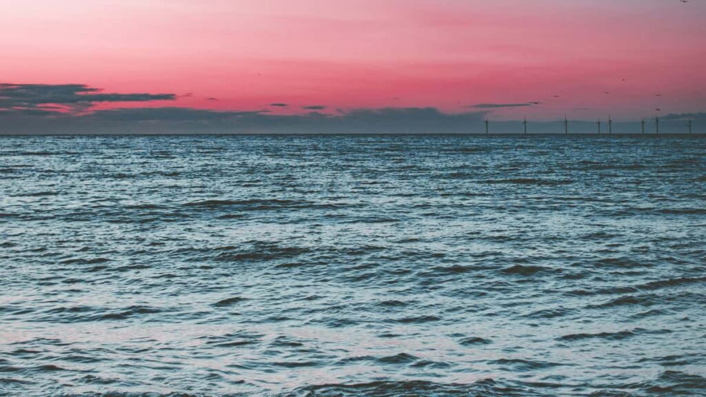 Guia pratico para anunciantes em Portugal: como identificar e contratar criadores polacos no Bilibili para campanhas de affiliate marketing via influenciadores.