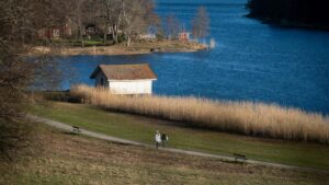 Guia pratico para criadores em Portugal: como abordar marcas suicas no Takatak e promover "hidden gems" locais com propostas que funcionam em 2026.